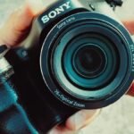 best point and shoot cameras 2026 travel compact