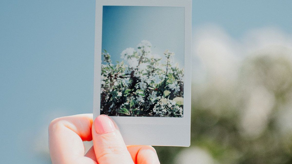 instant photo print from one of the best instant cameras